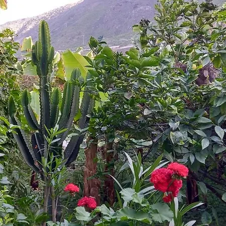 Happy Hello Semesterbostad Garachico (Tenerife)
