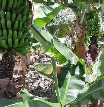 Happy Hello Dom wakacyjny