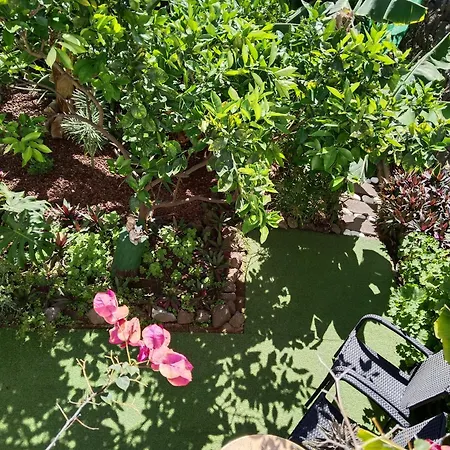 Dom wakacyjny Happy Hello *